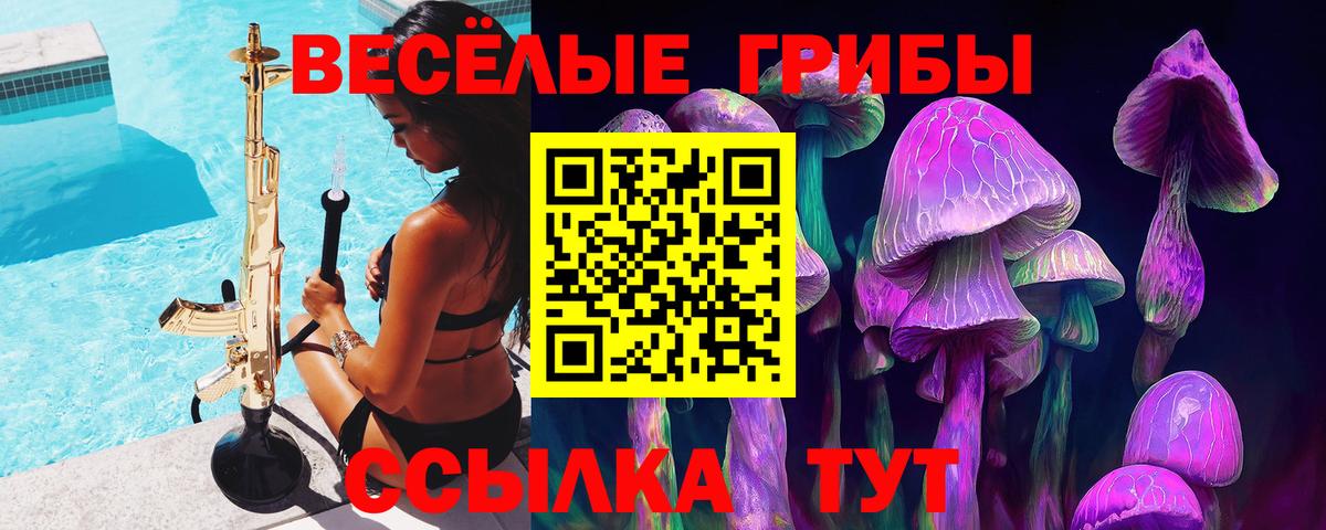 Галлюциногенные грибы мухоморы Курчалой